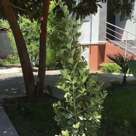 Green House Tbilisi Exterior foto